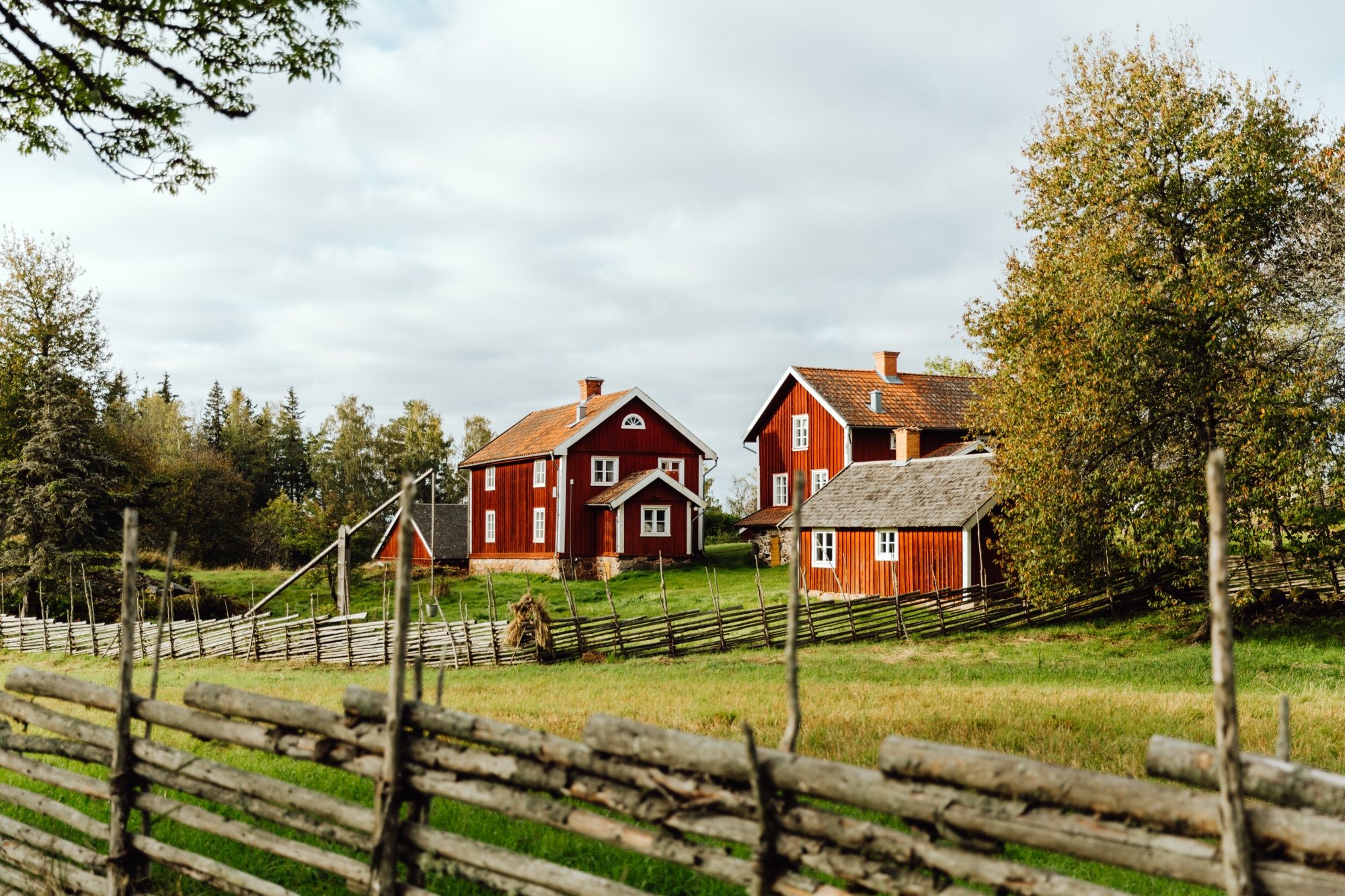 Sommar på Åsens by, tre röda stugor i lantlig idyll