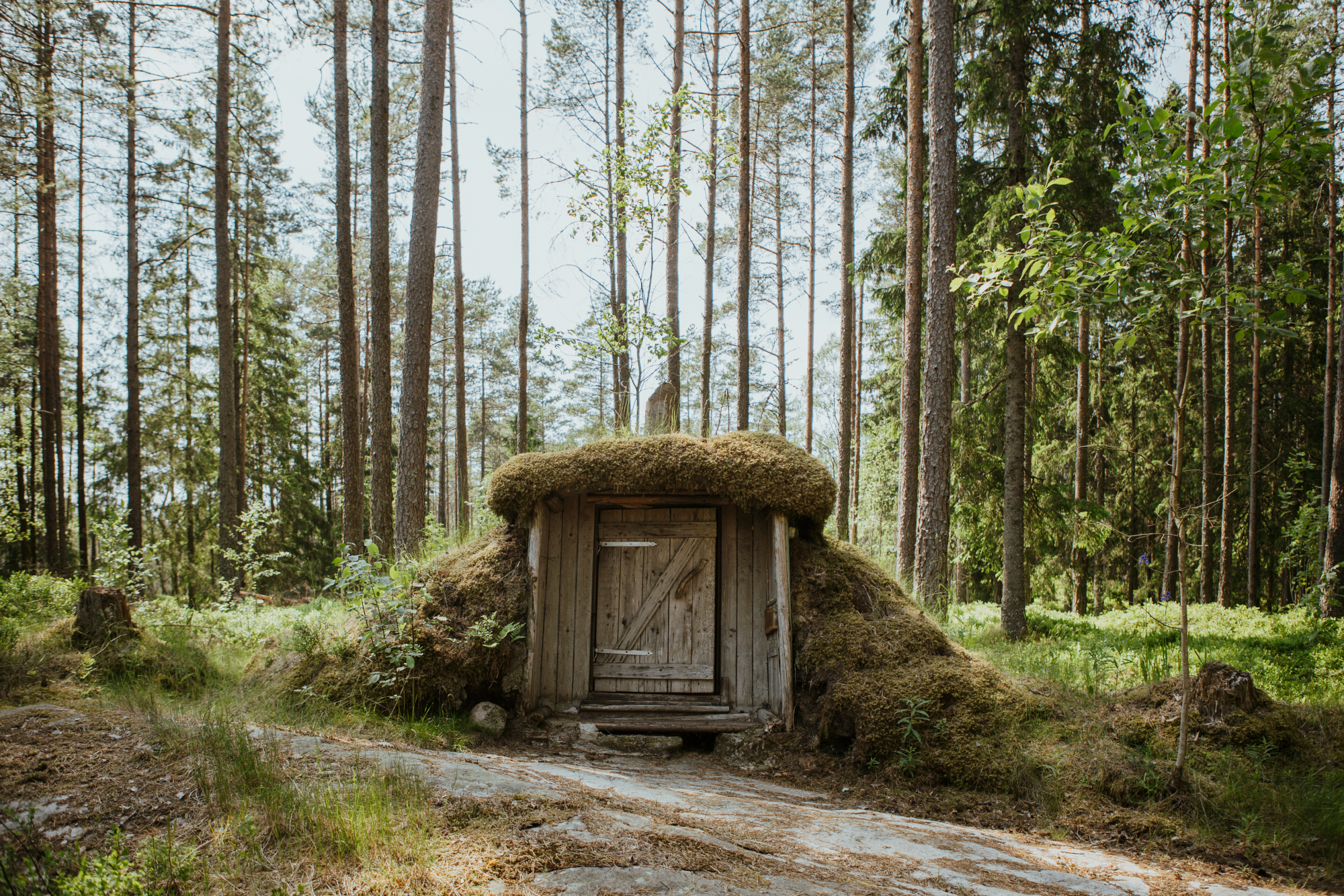 Trähus i vildmarken