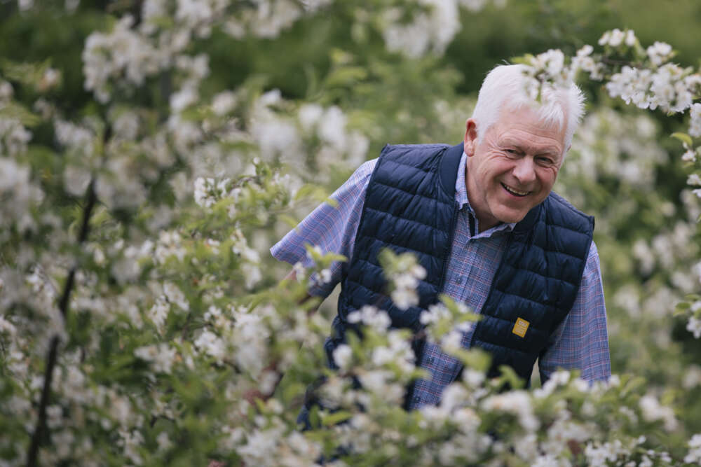 Vår, blommor