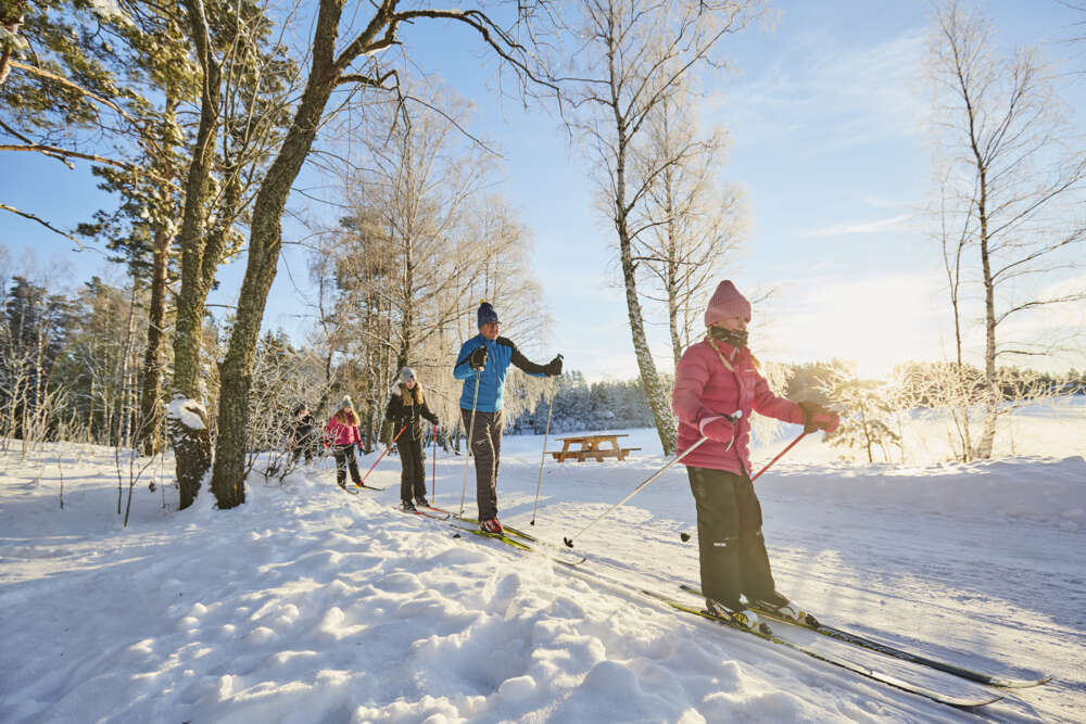 Winter skiing by Hallby