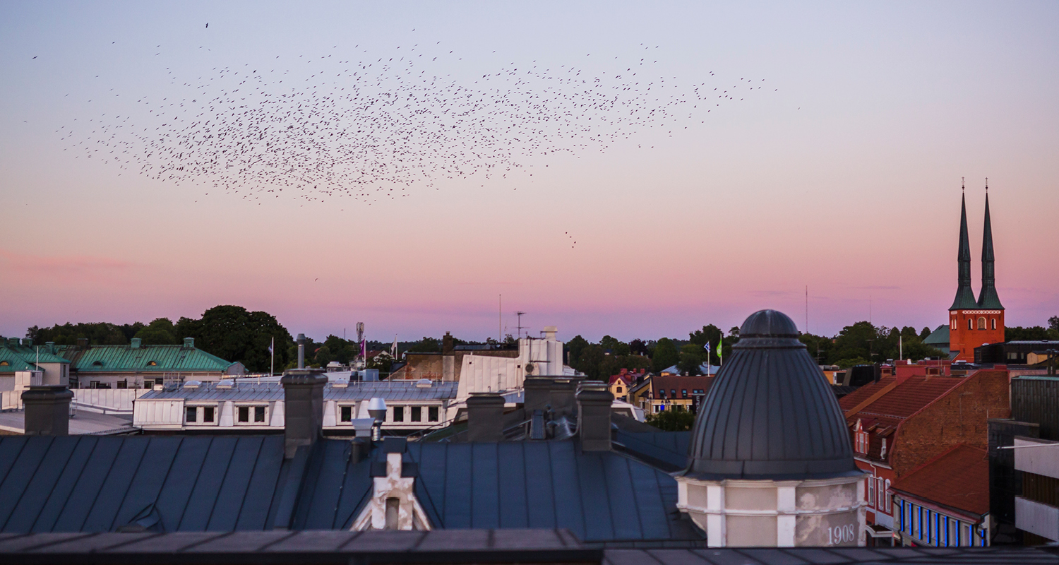 Växjö stad