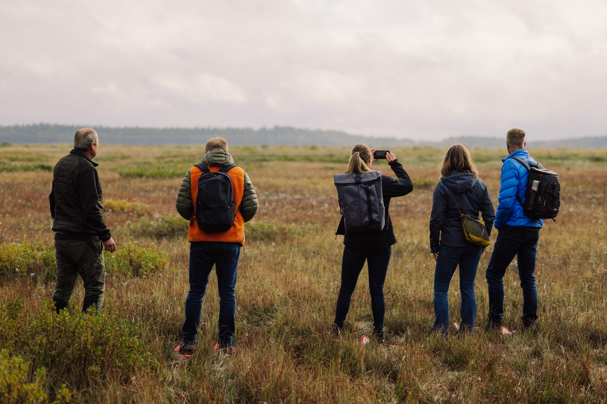 Människor ute på en mosse blickandes mot solen och utsikten