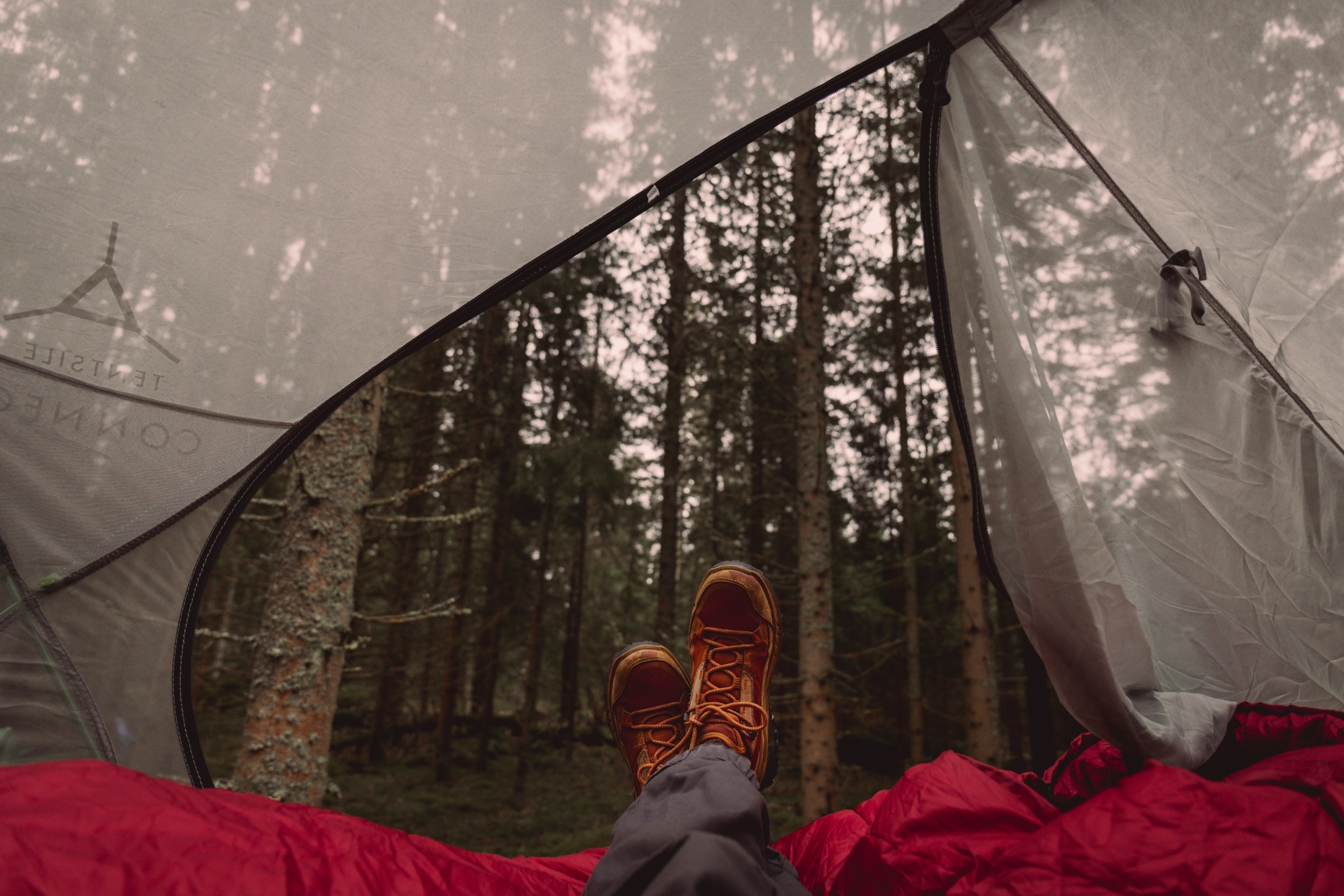 Person som ligger i ett tält ute i skogen