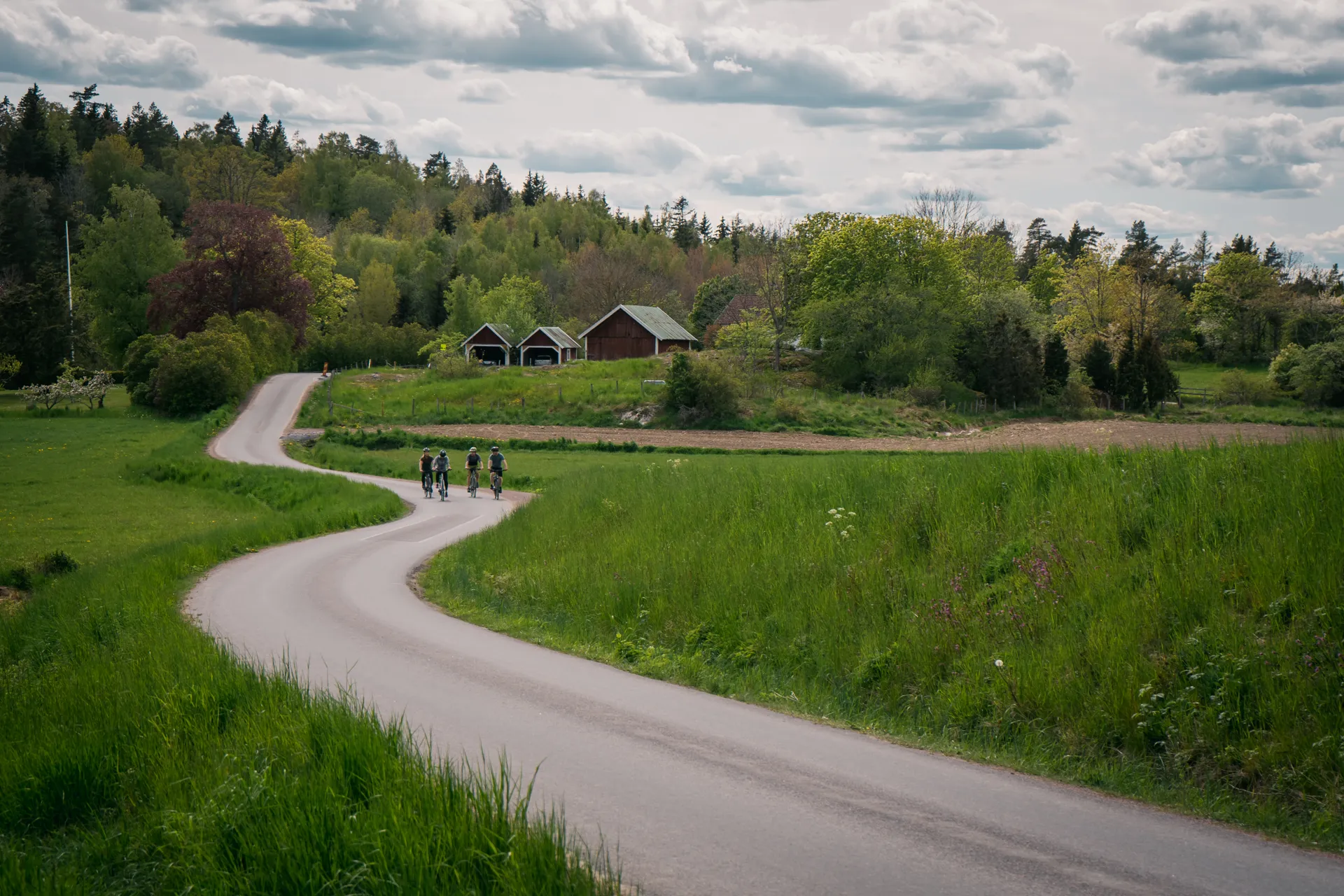 Cyklister på en landsväg