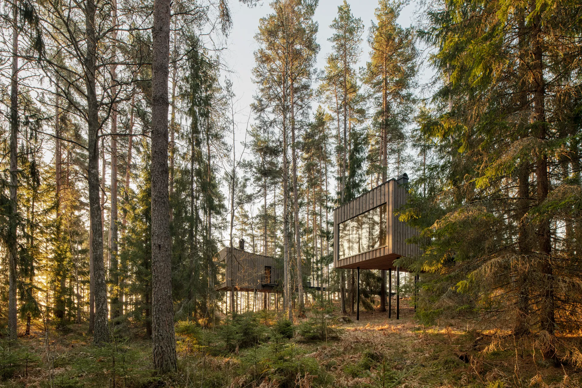 Två unika boenden i en solstänkt skog