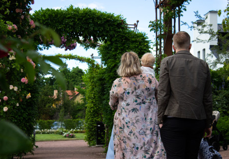 Familj som går genom den blommande allén på Rosenluns rosarium, vända gåendes bort från kameran.